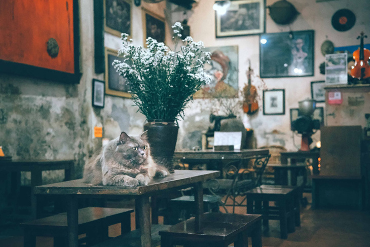 Hà Nội, 10 quán cà phê phong cách Hà Nội cổ điển không bao giờ cũ