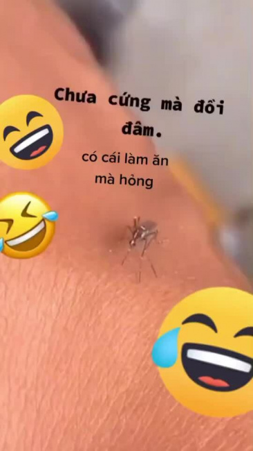 Muỗi muốn gãy vòi vì gặp phải thanh niên 'cứng'
