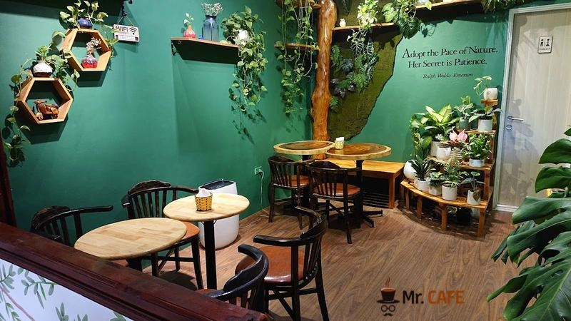 Woods Cafe – Trải nghiệm không gian xanh mát và menu đặc sắc