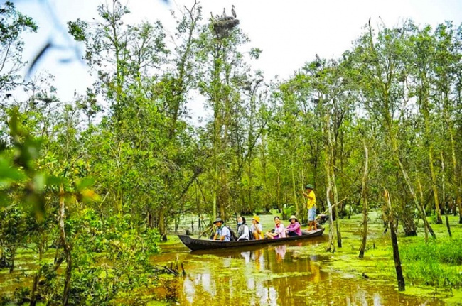 land reserve, lang sen wet, nature reserve, western tourist destination, discover the beautiful nature in lang sen wetland reserve