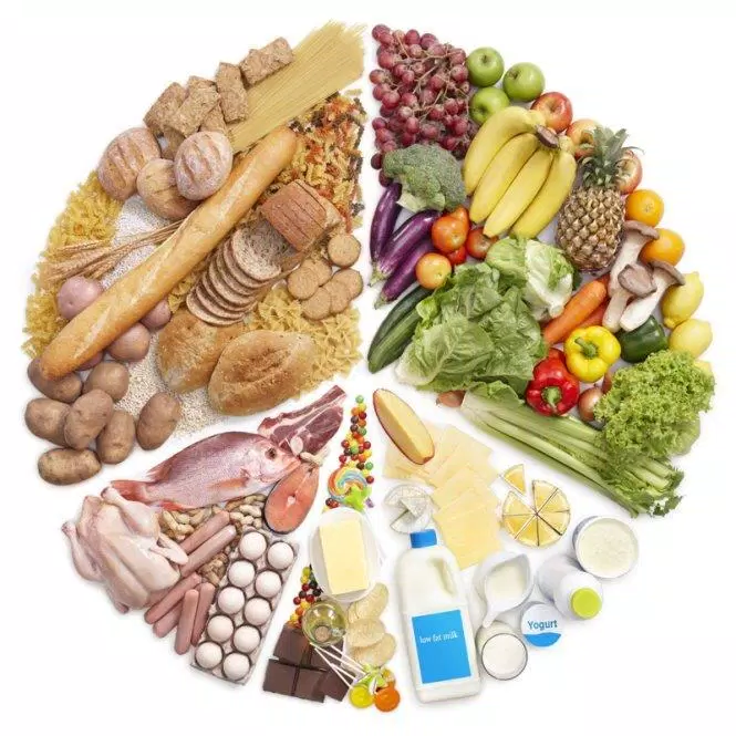 sức khỏe, dinh dưỡng, bệnh nhân suy dinh dưỡng cần được hỗ trợ như thế nào về chế độ ăn uống?
