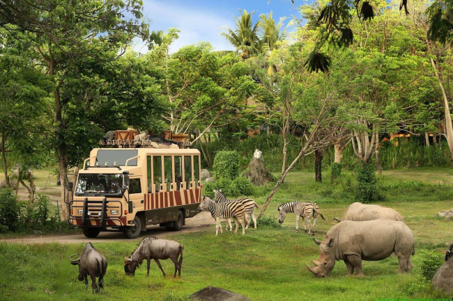 safari phú quốc, bật mí kinh nghiệm khám phá safari phú quốc cực hữu ích