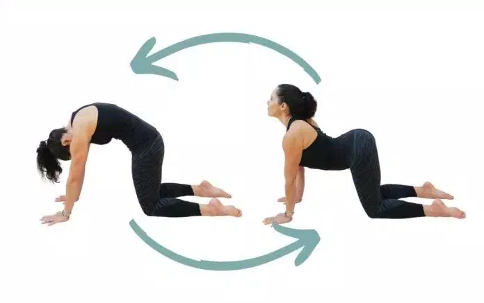sức khỏe, fitness & yoga, mách bạn 10 bài tập giãn cơ cực hữu ích giúp cơ thể linh hoạt mà ai cũng có thể tập được