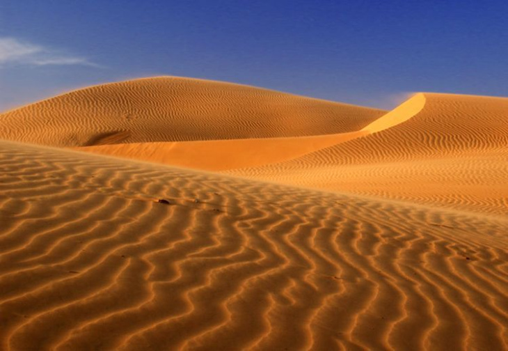 khám phá, trải nghiệm, lạc vào sa mạc ở việt nam năm 2023