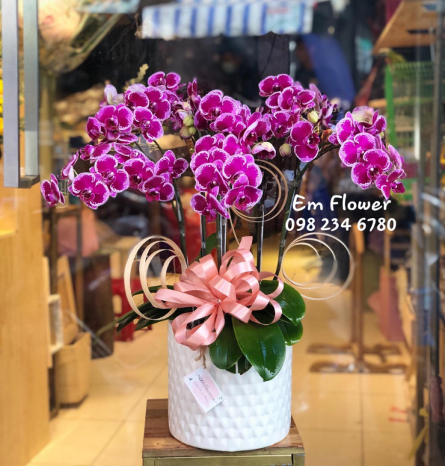 top 15 shop hoa tươi đẹp nhất quận phú nhuận, tp. hcm