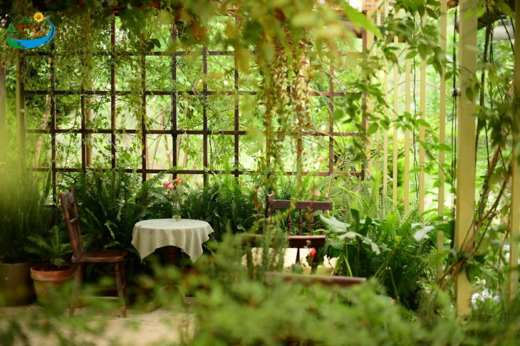 địa điểm,   												tiệm cà phê khu vườn mùa hè đà lạt – một địa điểm thơ mộng mà ai cũng mê