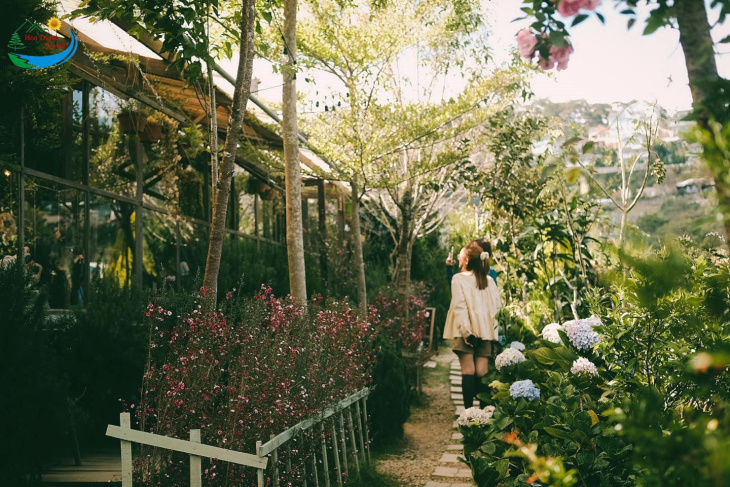 địa điểm,   												tiệm cà phê khu vườn mùa hè đà lạt – một địa điểm thơ mộng mà ai cũng mê