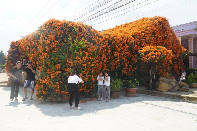di linh plateau, lam dong tourism, the house covered with chili flowers becomes a check-in point