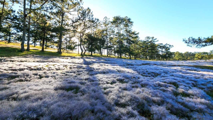 địa điểm,   												kinh nghiệm đi đồi cỏ hồng đà lạt cho dân phượt 2023