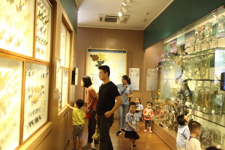 nghỉ dưỡng, top 10 bảo tàng hà nội nổi tiếng và thu hút nhiều du khách nhất