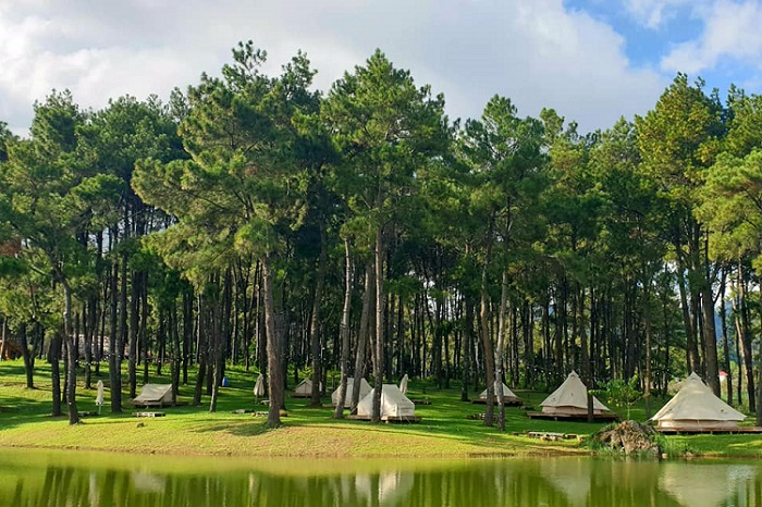 review phoenix camp ground mộc châu, khám phá, trải nghiệm, review phoenix camp ground mộc châu – điểm cắm trại giữa rừng thông xanh
