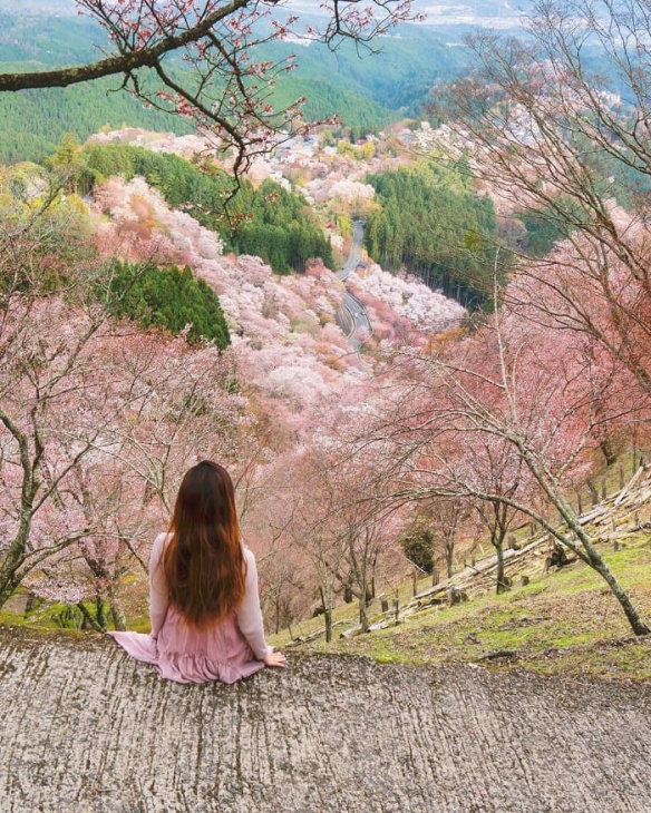 núi yoshino nhật bản, khám phá, trải nghiệm, núi yoshino nhật bản: địa điểm ngắm hoa anh đào đẹp nhất xứ phù tang