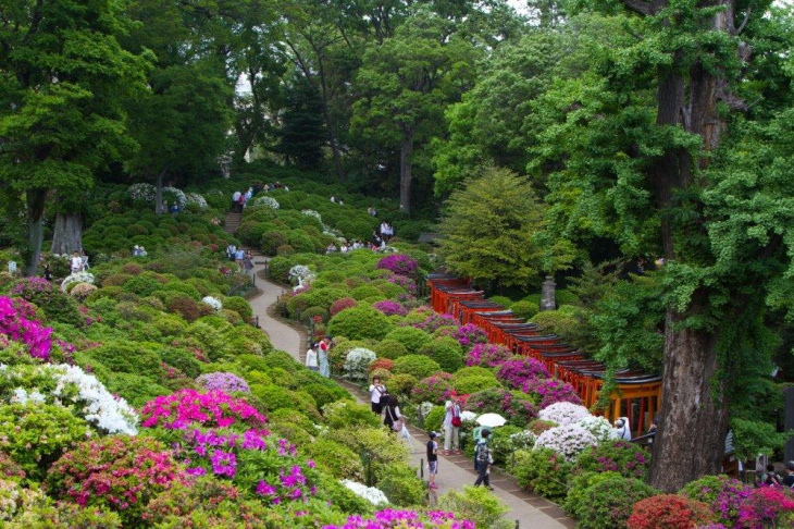 Review chuyến du lịch Nhật Bản tháng 5, 4N3Đ trải nghiệm ngắm hoa, Khám Phá
