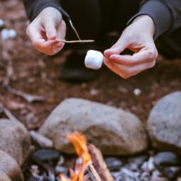 camping foods: the ultimate guide