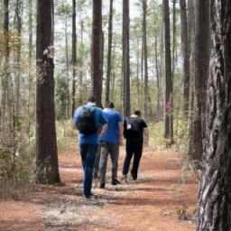 Whispering Pines Campground: A Great Escape into Nature