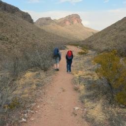 big bend campground: a nature lover’s paradise