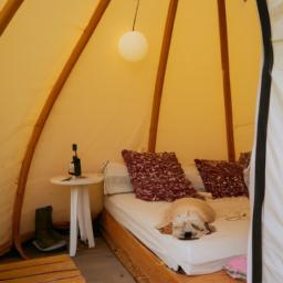 dog-friendly glamping: the perfect getaway for you and your furry friend