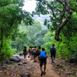 Ananthagiri Hills Camping: Experience Nature’s Beauty Like Never Before