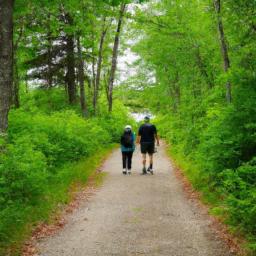 gull lake campground: a perfect getaway for nature lovers