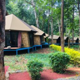Campmonk Bannerghatta: The Perfect Escape for Nature Lovers