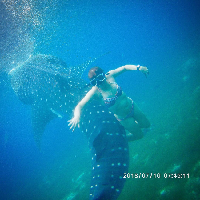 trải nghiệm có 1 - 0 - 2 ở philippines bơi cùng cá voi nơi siêu độc đáo