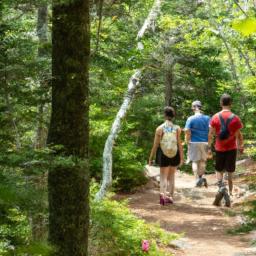 Mount Desert Campground: A Natural Haven for Outdoor Enthusiasts