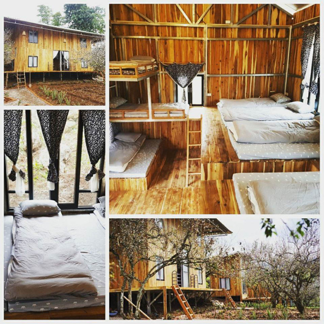 đẹp tựa phim hàn hostel nhà gỗ giữa rừng mơ trắng mộc châu chỉ 95k/người