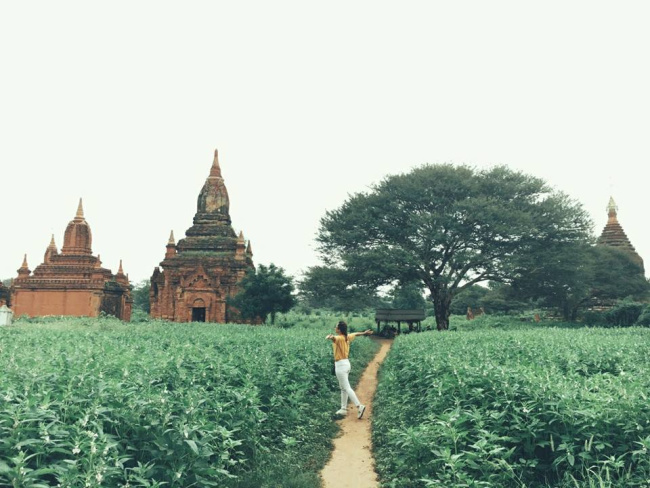 cô gái trẻ và hành trình khám phá myanmar đầy hoang dại