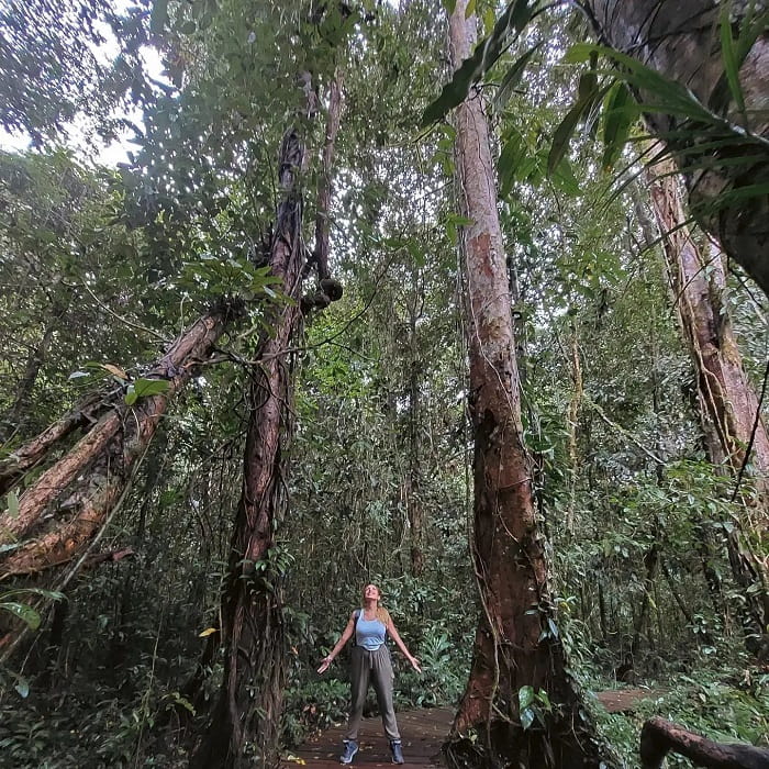 vườn quốc gia gunung mulu, khám phá, trải nghiệm, khám phá thiên nhiên tại vườn quốc gia gunung mulu malaysia 