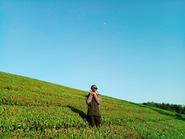 xẻ dọc đất nước 10 đồi chè xanh mướt đứng vào pose dáng là hốt ảnh đẹp