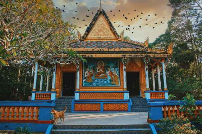 5 ngôi chùa phá đảo instagram check-in đẹp tựa các hot traveller tại sóc trăng
