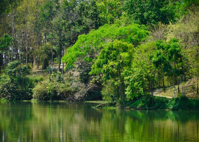 hồ trúc đắk nông, khám phá, trải nghiệm, hồ trúc đắk nông - 'lá phổi xanh' thơ mộng giữa lòng cư jút