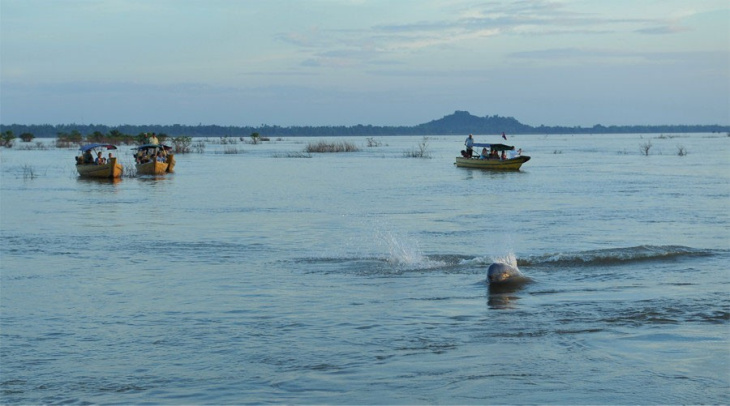 khám phá, trải nghiệm, du lịch tỉnh kratie, campuchia - thủ phủ cuối cùng của loài cá heo nước ngọt irrawaddy