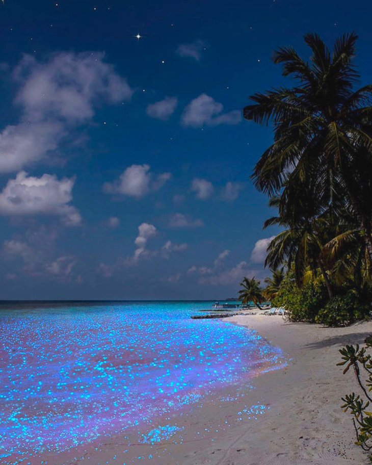 du lịch maldives, đặt phòng, khách sạn maldives, những hoạt động đáng trải nghiệm cho chuyến du lịch hè nghỉ dưỡng ở maldives thêm trọn vẹn