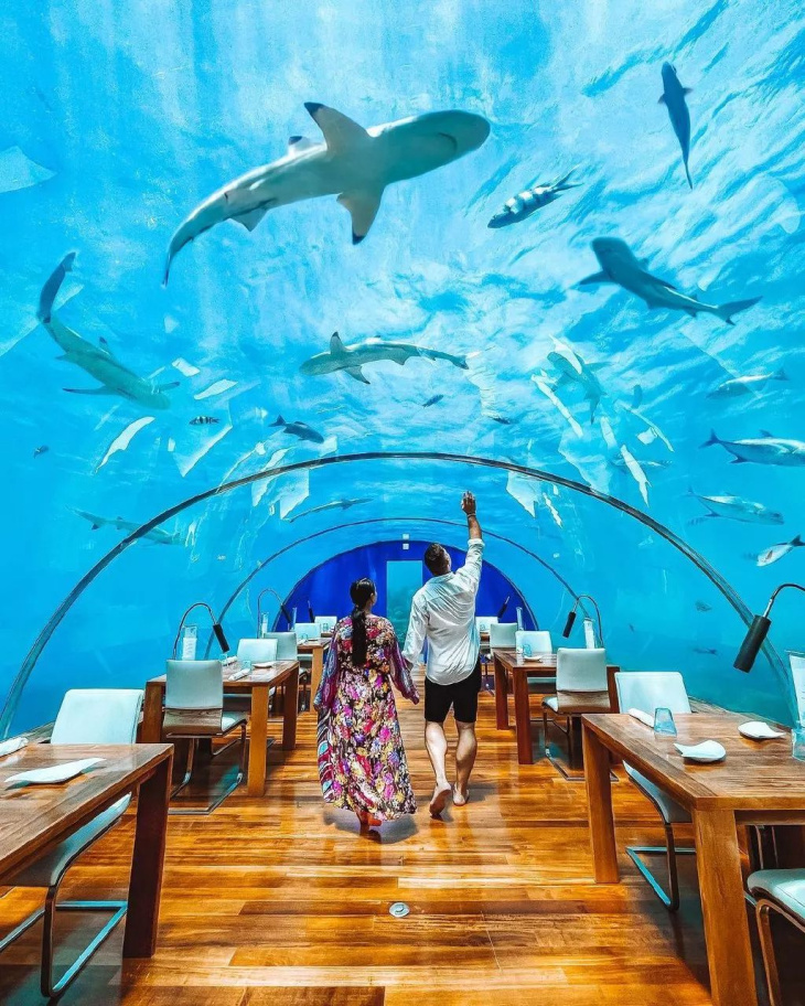 du lịch maldives, đặt phòng, khách sạn maldives, những hoạt động đáng trải nghiệm cho chuyến du lịch hè nghỉ dưỡng ở maldives thêm trọn vẹn