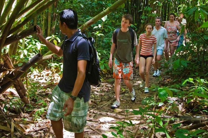 khám phá, trải nghiệm, khám phá vườn quốc gia khao sok – thiên đường rừng nhiệt đới ở thái lan