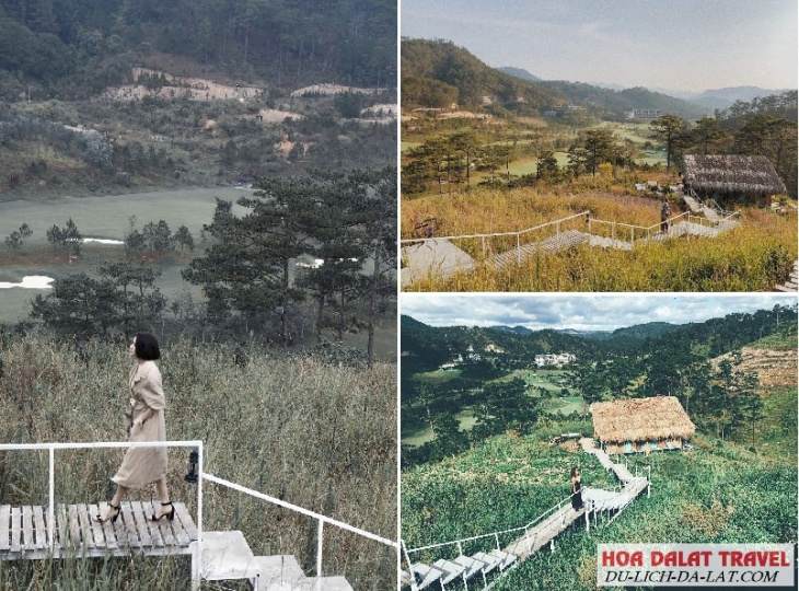 kinh nghiệm, top 79+ homestay đà lạt xịn sò, view đẹp giá bình dân 2023