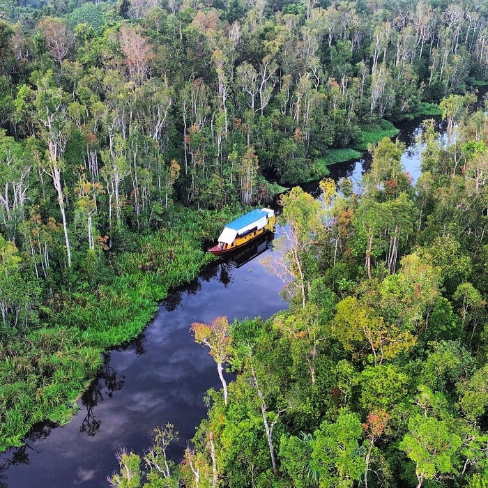 vườn quốc gia tanjung puting, khám phá, trải nghiệm, vườn quốc gia tanjung puting indonesia: thiên đường của những loài đười ươi