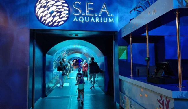 lạc vào thế giới đại dương kỳ thú tại thủy cung s.e.a aquarium singapore