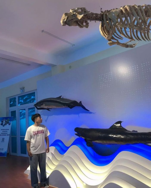 check-in bảo tàng hải dương học ở nha trang, 'mãn nhãn' với thế giới đại dương tuyệt đẹp