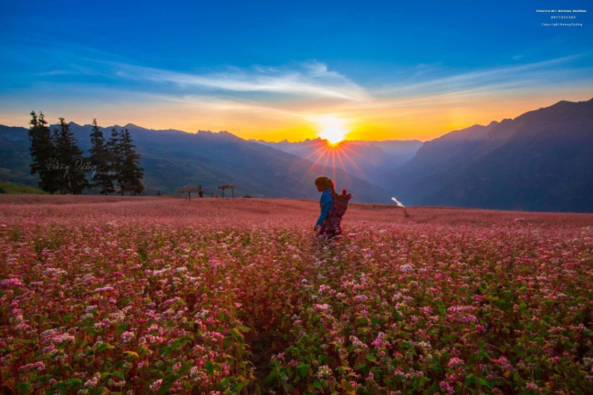 top 10 bài thơ viết về hà giang hay nhất