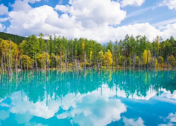 hồ xanh biei hokkaido, khám phá, trải nghiệm, 'sững sờ' trước sắc xanh đầy mê hoặc ở hồ xanh biei hokkaido nhật bản