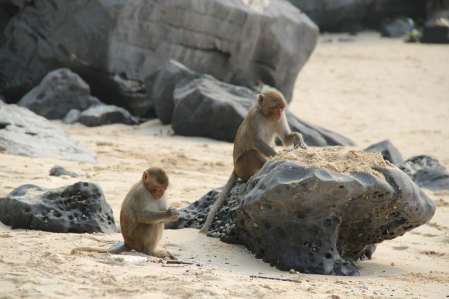 is monkey island in halong bay worth visiting?