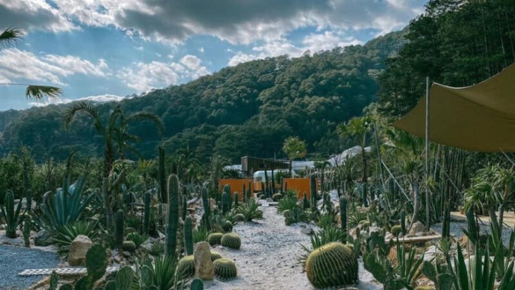 lịch trình,   												review kombi land đà lạt – khu vườn xương rồng cực phong cách