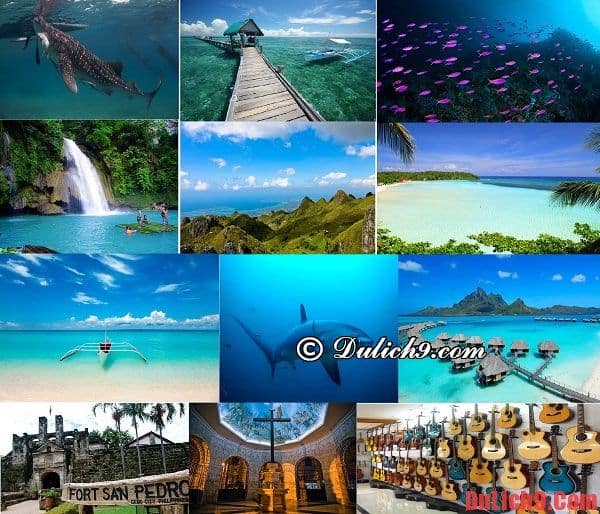 du lịch philippines, hướng dẫn, kinh nghiệm du lịch đảo cebu, philippines đầy đủ nhất