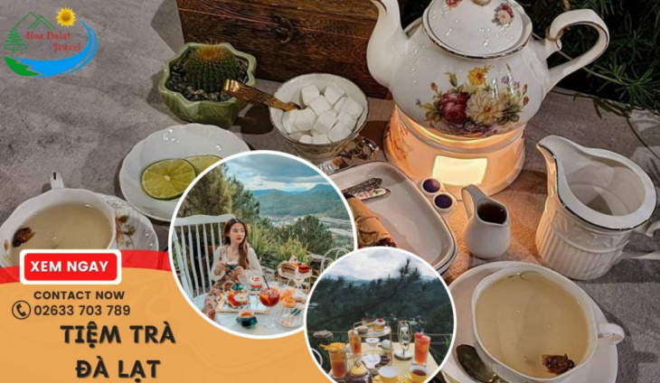 kinh nghiệm, bỏ túi top 20 tiệm trà đà lạt đa dạng concept, view đẹp nhất