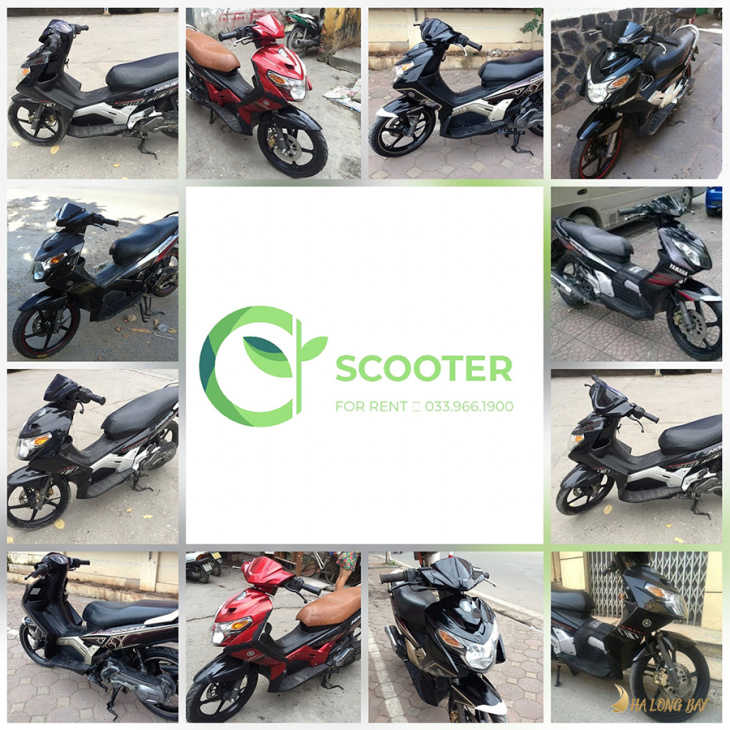hạ long, quảng ninh, review 10 famous motorbike rental addresses “good motorbike – cheap price” in ha long
