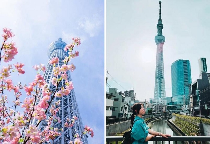 gợi ý điểm check in miễn phí ở tokyo hot nhất instagram, giơ máy lên là có ảnh đẹp