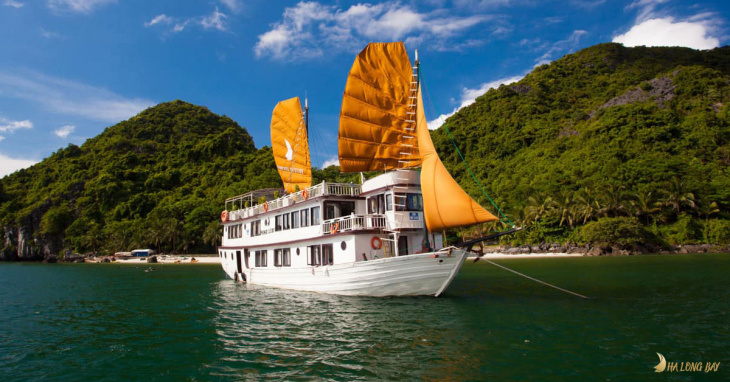 hạ long, quảng ninh, boat charter price to visit ha long bay 2023