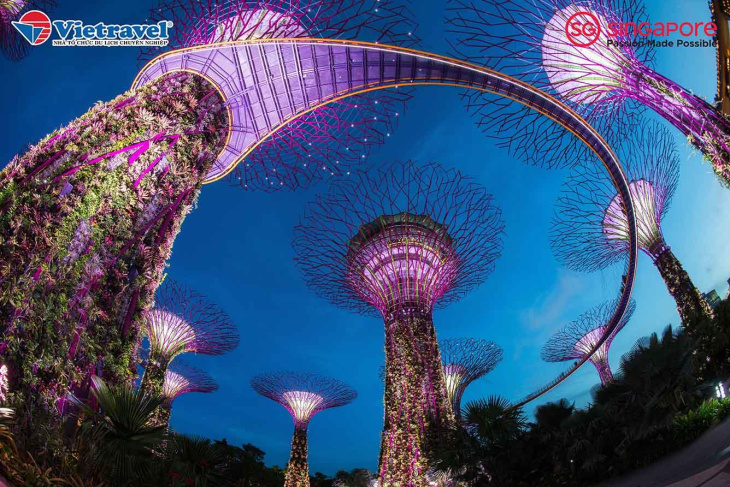 Khám phá Gardens by the Bay và những món ăn ngon nên thử khi đến Singapore, Khám Phá